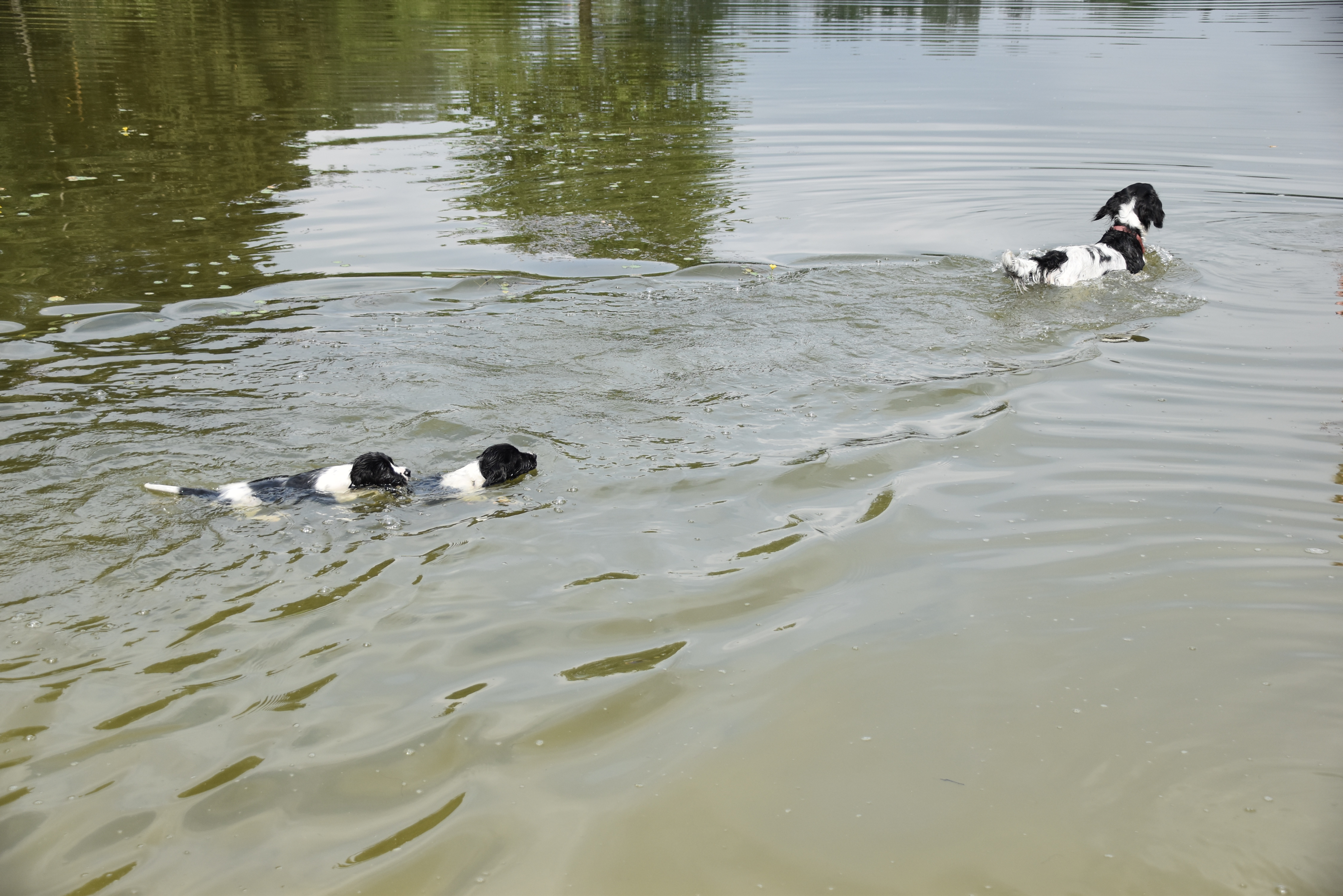 Wasser (22) Wasser (22)